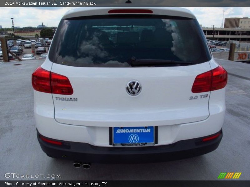 Candy White / Black 2014 Volkswagen Tiguan SE