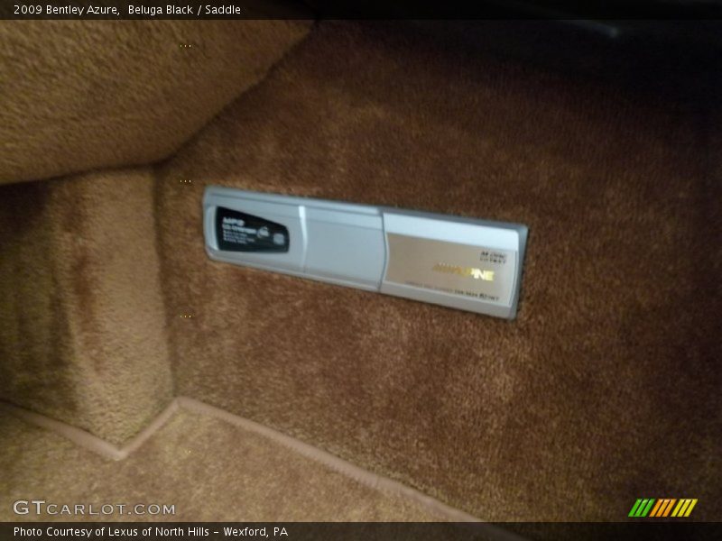 Audio System of 2009 Azure 