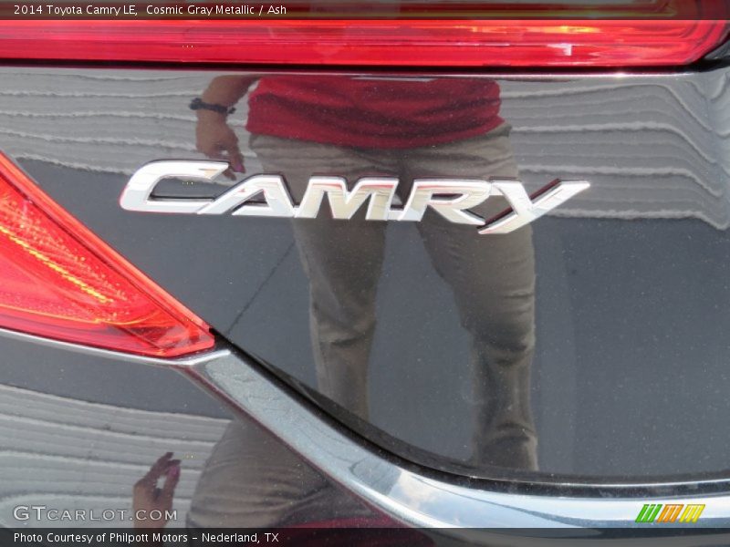 Cosmic Gray Metallic / Ash 2014 Toyota Camry LE