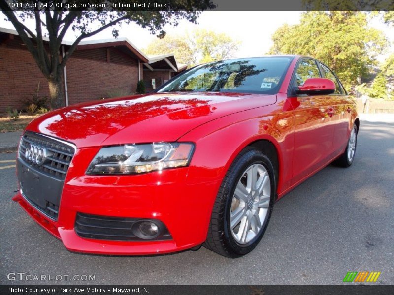 Brilliant Red / Black 2011 Audi A4 2.0T quattro Sedan