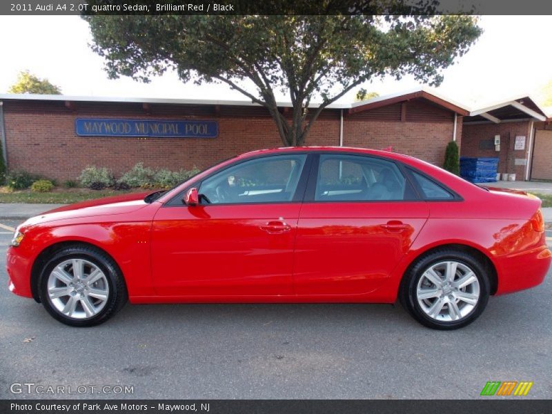Brilliant Red / Black 2011 Audi A4 2.0T quattro Sedan