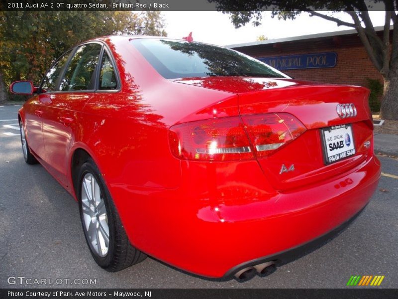 Brilliant Red / Black 2011 Audi A4 2.0T quattro Sedan