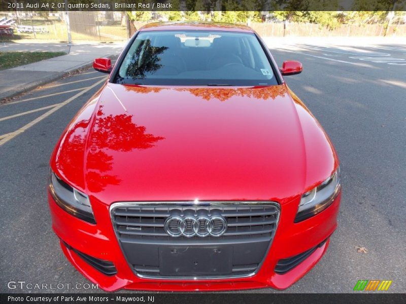 Brilliant Red / Black 2011 Audi A4 2.0T quattro Sedan