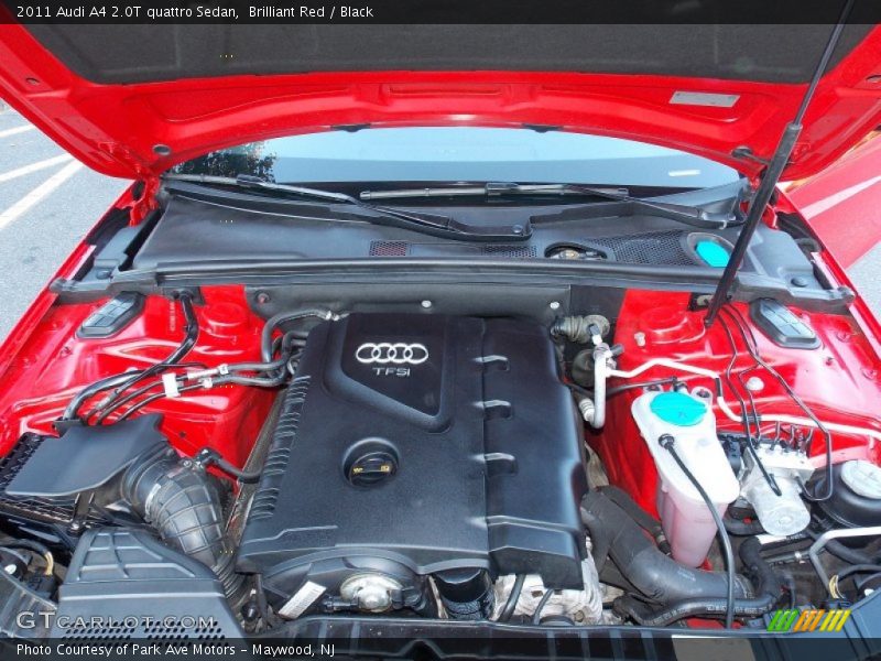 Brilliant Red / Black 2011 Audi A4 2.0T quattro Sedan