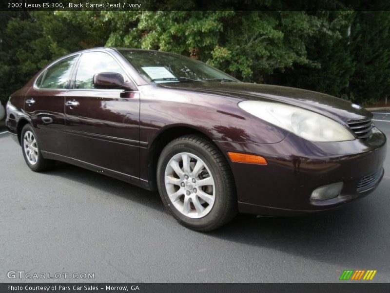 Black Garnet Pearl / Ivory 2002 Lexus ES 300