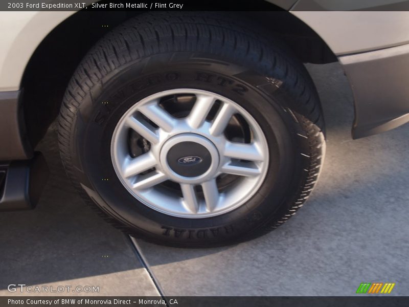 Silver Birch Metallic / Flint Grey 2003 Ford Expedition XLT