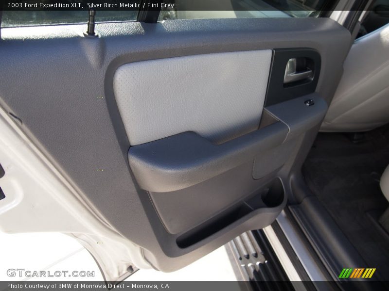 Silver Birch Metallic / Flint Grey 2003 Ford Expedition XLT