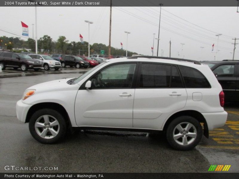 Super White / Dark Charcoal 2004 Toyota RAV4 4WD