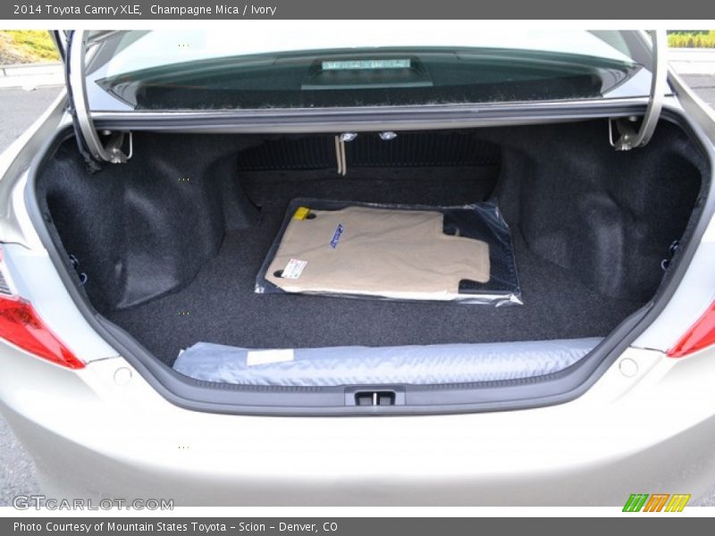 Champagne Mica / Ivory 2014 Toyota Camry XLE