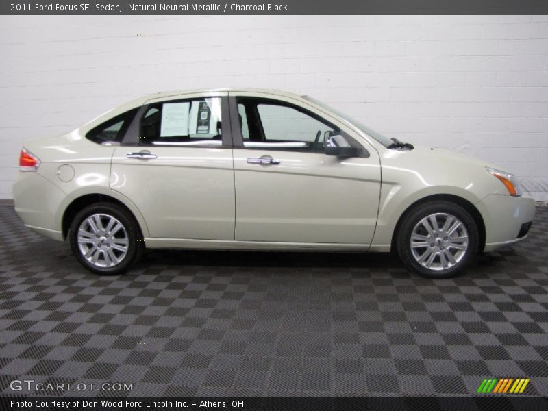 Natural Neutral Metallic / Charcoal Black 2011 Ford Focus SEL Sedan
