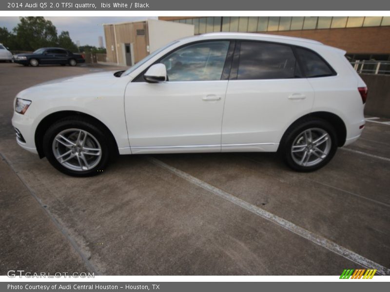 Ibis White / Black 2014 Audi Q5 2.0 TFSI quattro