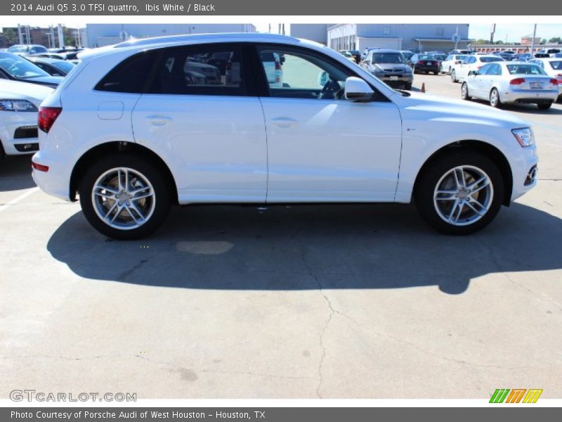 Ibis White / Black 2014 Audi Q5 3.0 TFSI quattro
