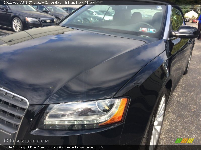 Brilliant Black / Black 2011 Audi A5 2.0T quattro Convertible