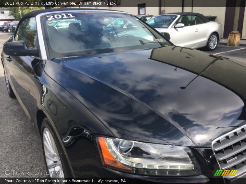 Brilliant Black / Black 2011 Audi A5 2.0T quattro Convertible