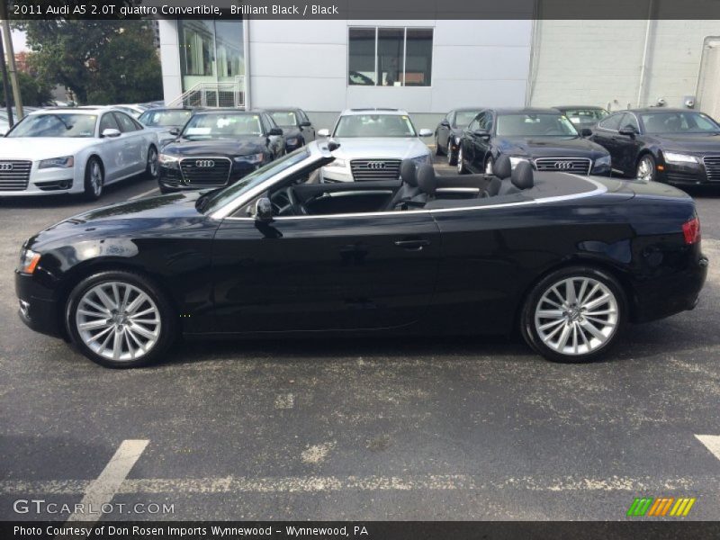 Brilliant Black / Black 2011 Audi A5 2.0T quattro Convertible