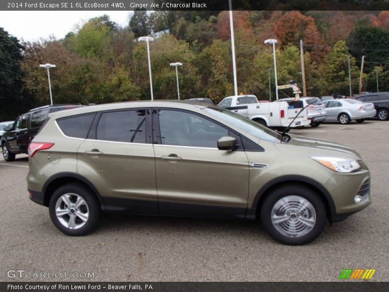 Ginger Ale / Charcoal Black 2014 Ford Escape SE 1.6L EcoBoost 4WD