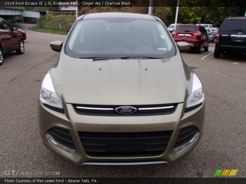 Ginger Ale / Charcoal Black 2014 Ford Escape SE 1.6L EcoBoost 4WD
