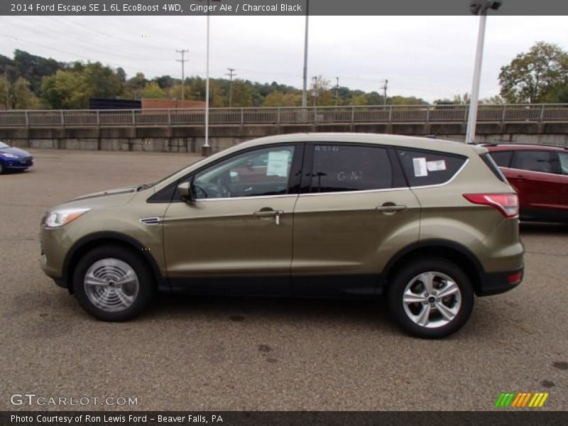 Ginger Ale / Charcoal Black 2014 Ford Escape SE 1.6L EcoBoost 4WD