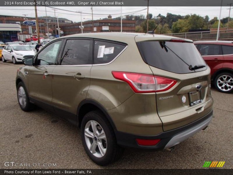 Ginger Ale / Charcoal Black 2014 Ford Escape SE 1.6L EcoBoost 4WD