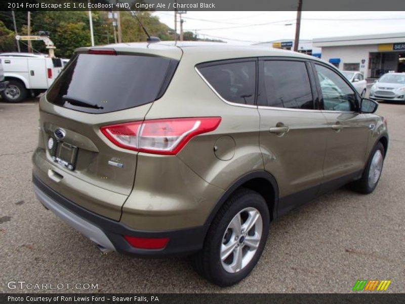 Ginger Ale / Charcoal Black 2014 Ford Escape SE 1.6L EcoBoost 4WD