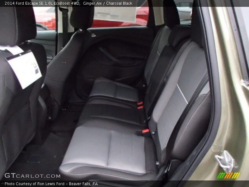 Ginger Ale / Charcoal Black 2014 Ford Escape SE 1.6L EcoBoost 4WD
