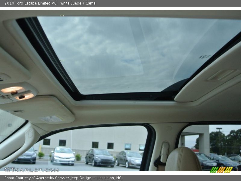 White Suede / Camel 2010 Ford Escape Limited V6