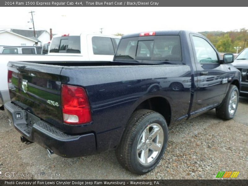  2014 1500 Express Regular Cab 4x4 True Blue Pearl Coat