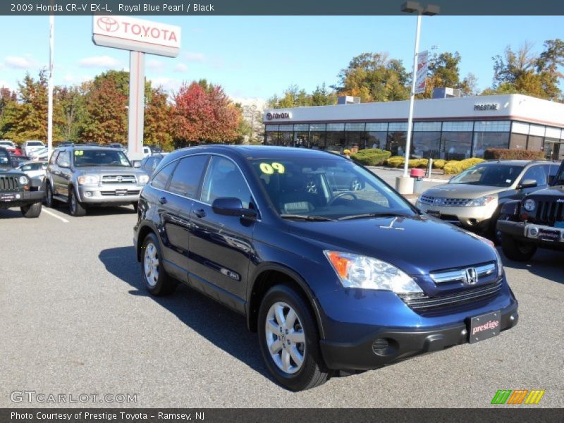 Royal Blue Pearl / Black 2009 Honda CR-V EX-L