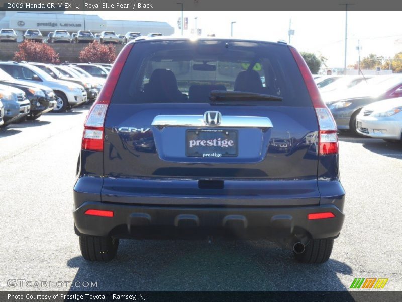 Royal Blue Pearl / Black 2009 Honda CR-V EX-L