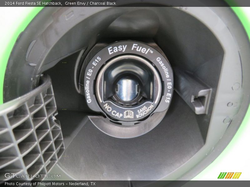 Green Envy / Charcoal Black 2014 Ford Fiesta SE Hatchback