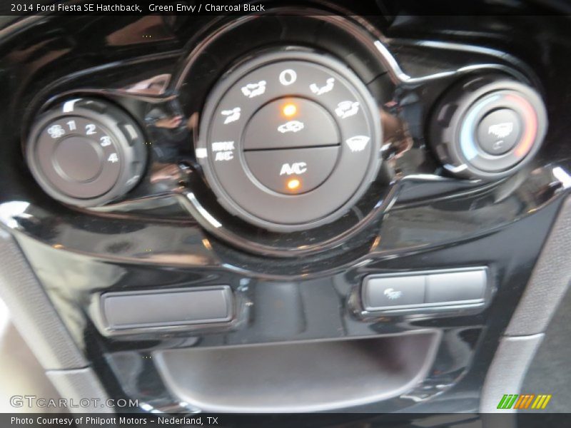 Green Envy / Charcoal Black 2014 Ford Fiesta SE Hatchback