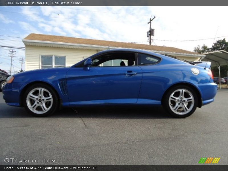 Tidal Wave / Black 2004 Hyundai Tiburon GT
