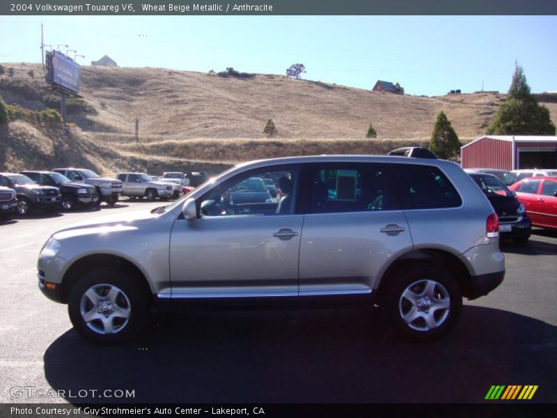 Wheat Beige Metallic / Anthracite 2004 Volkswagen Touareg V6