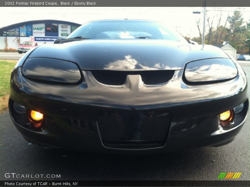 Black / Ebony Black 2002 Pontiac Firebird Coupe