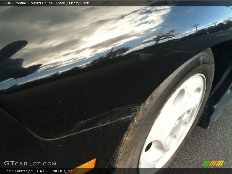 Black / Ebony Black 2002 Pontiac Firebird Coupe