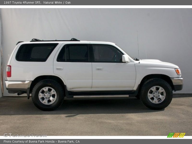 Natural White / Oak 1997 Toyota 4Runner SR5