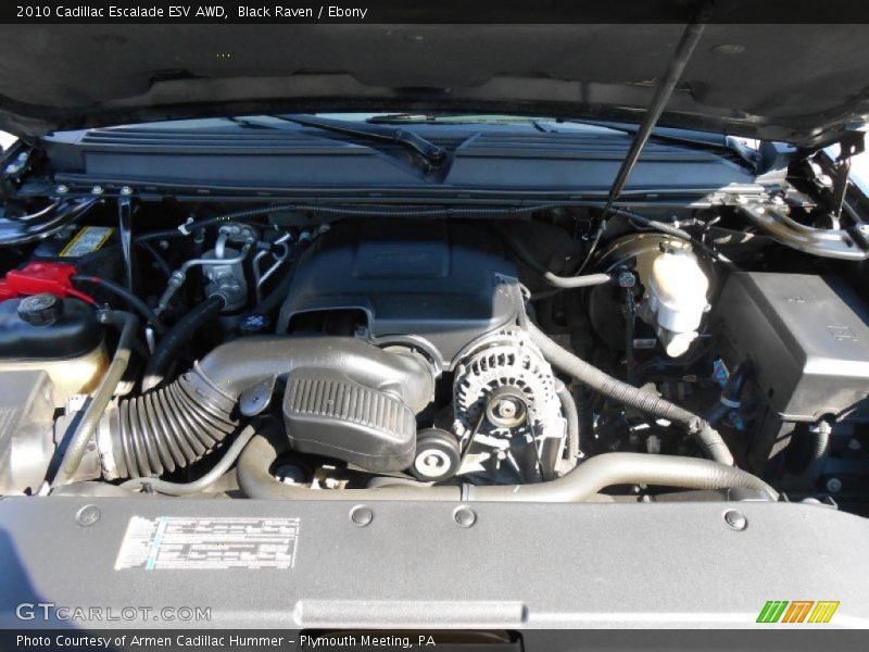 Black Raven / Ebony 2010 Cadillac Escalade ESV AWD