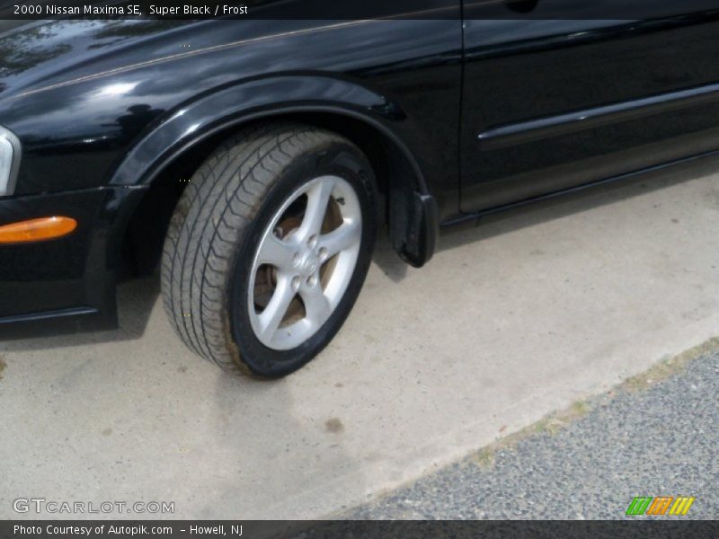 Super Black / Frost 2000 Nissan Maxima SE