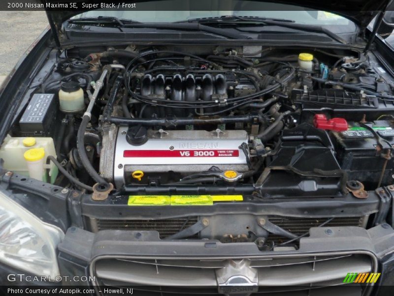 Super Black / Frost 2000 Nissan Maxima SE