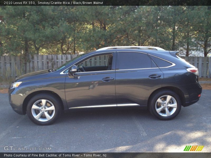 Smokey Granite Mica / Black/Brown Walnut 2010 Lexus RX 350