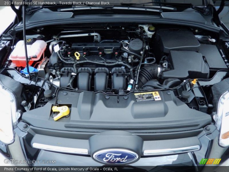 Tuxedo Black / Charcoal Black 2014 Ford Focus SE Hatchback