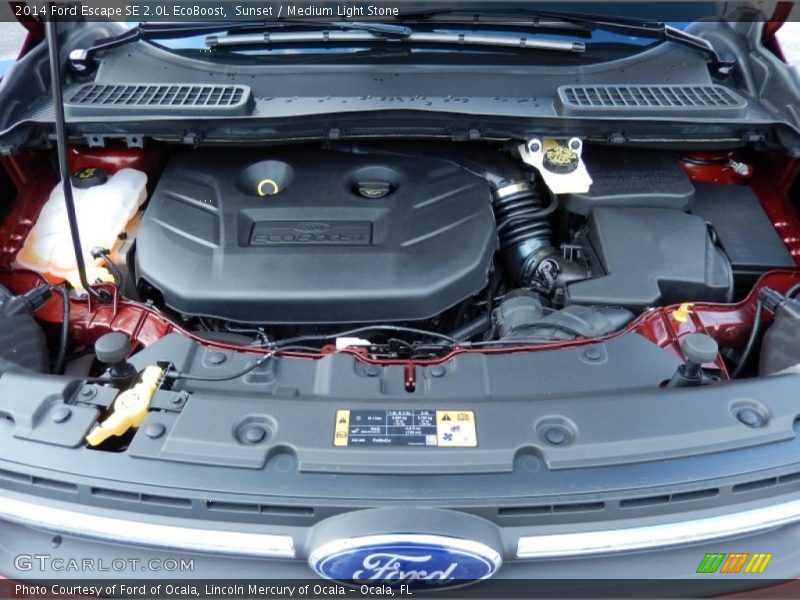 Sunset / Medium Light Stone 2014 Ford Escape SE 2.0L EcoBoost
