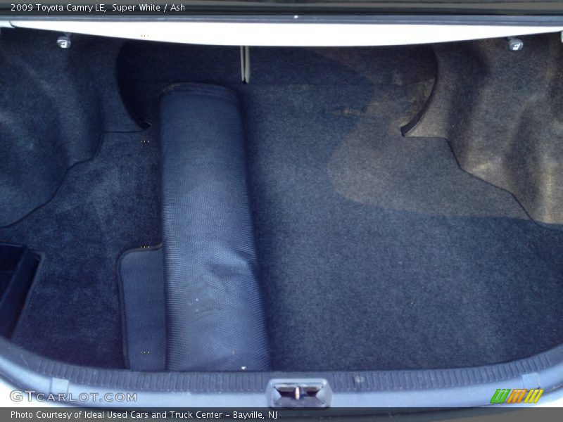 Super White / Ash 2009 Toyota Camry LE