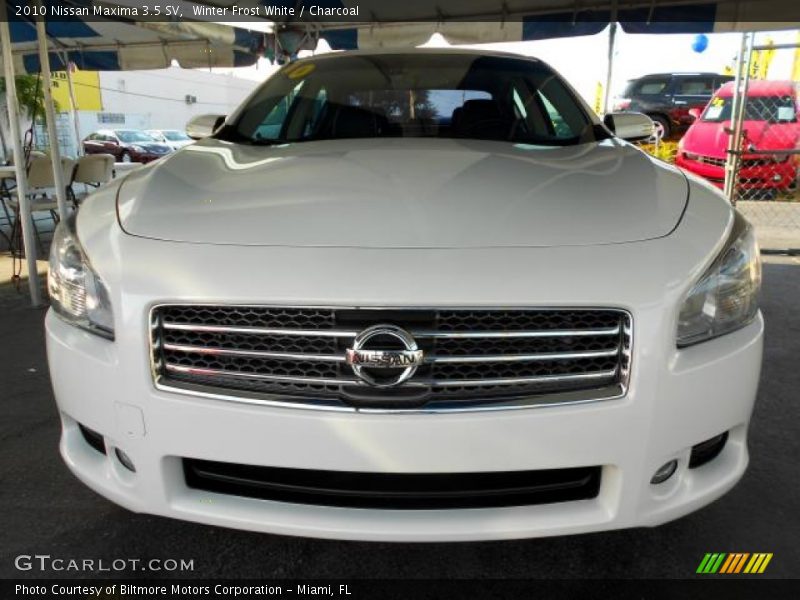 Winter Frost White / Charcoal 2010 Nissan Maxima 3.5 SV