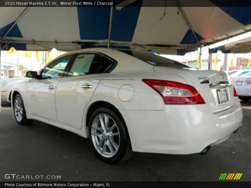 Winter Frost White / Charcoal 2010 Nissan Maxima 3.5 SV