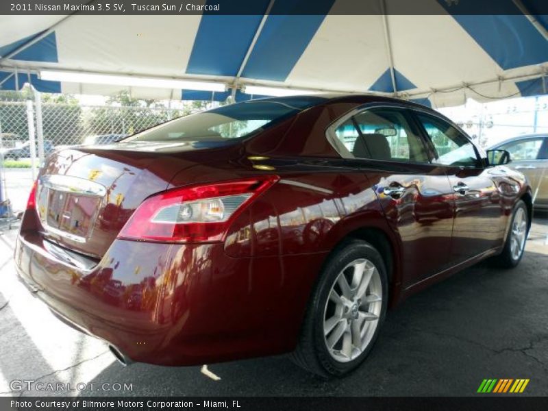 Tuscan Sun / Charcoal 2011 Nissan Maxima 3.5 SV