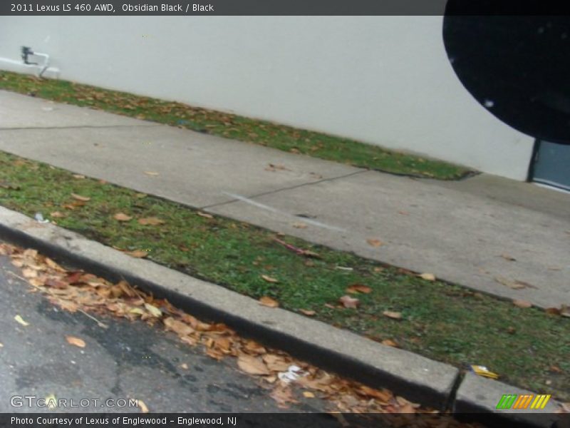 Obsidian Black / Black 2011 Lexus LS 460 AWD