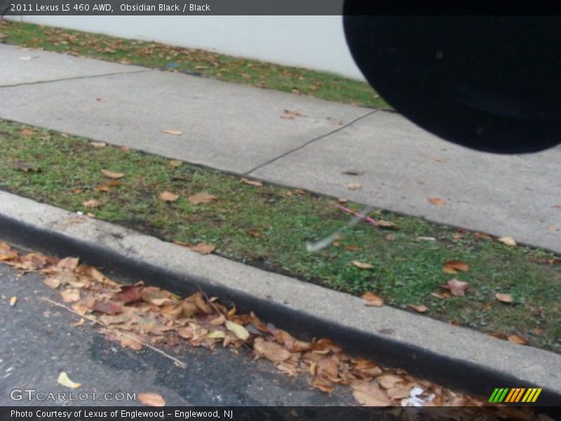 Obsidian Black / Black 2011 Lexus LS 460 AWD