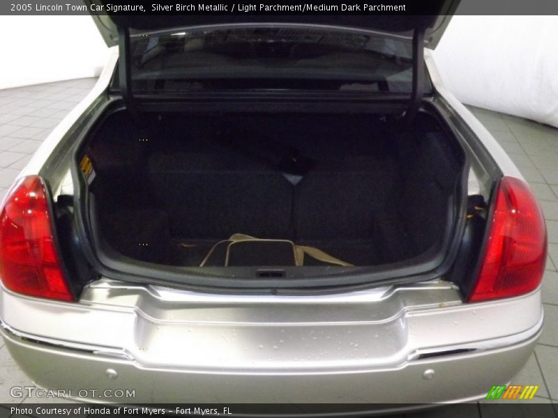 Silver Birch Metallic / Light Parchment/Medium Dark Parchment 2005 Lincoln Town Car Signature
