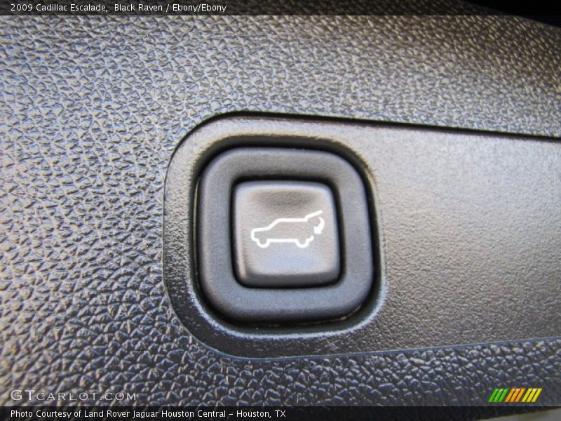 Black Raven / Ebony/Ebony 2009 Cadillac Escalade
